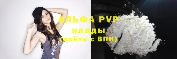 твердый Михайловск